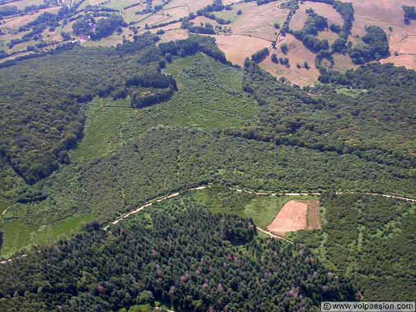 le bois de la certenue