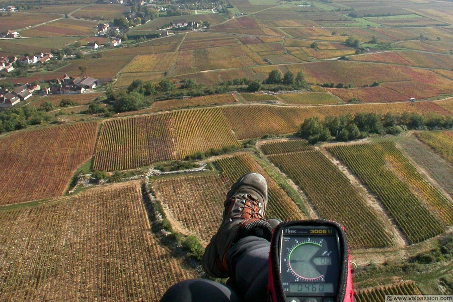 10-les-vignes