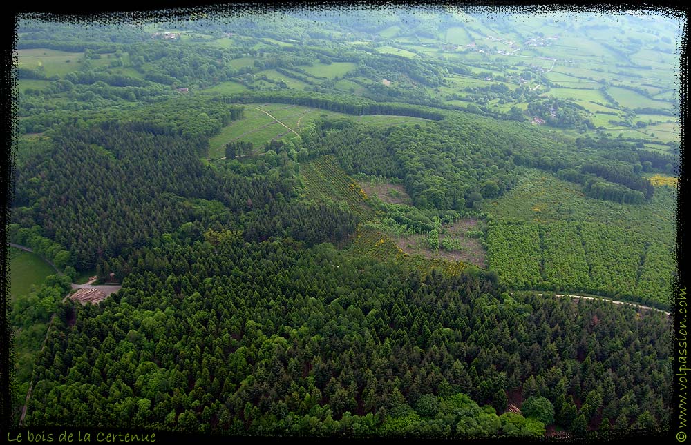 51-bois-la-certenue