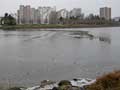 photo lac du plessis gele