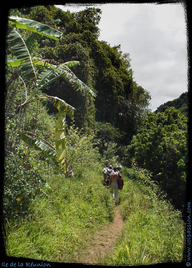 129-ile-de-la-reunion