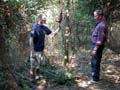 parapente dans les sapins