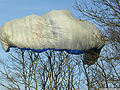 un parapente dans les arbres