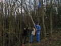 autun  parapente dans les arbres