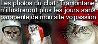 une belle vie de chat de 18 ans